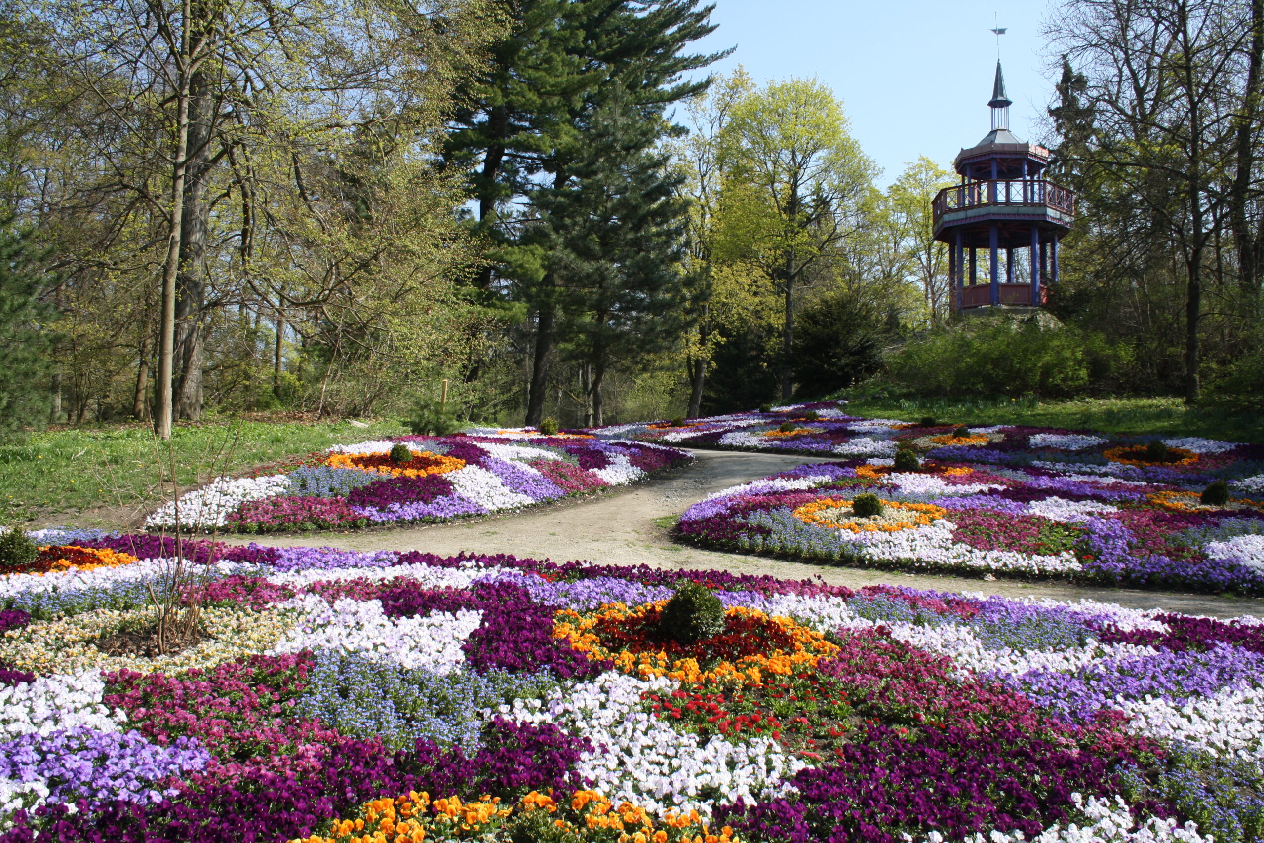 IMG_6961(0)-Theresienstein Blumen mm